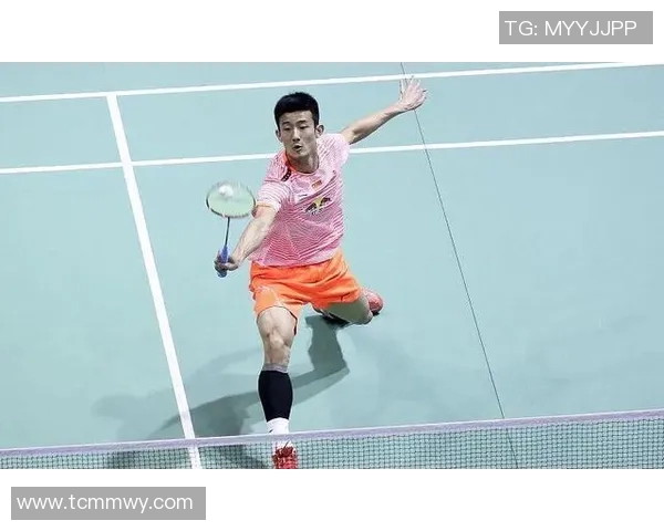 深入分析上海滑板队的战术演变与转换打法的独特魅力